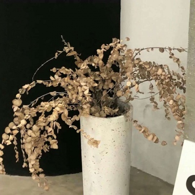 兽设毛发绘画实用教程兽圈社群